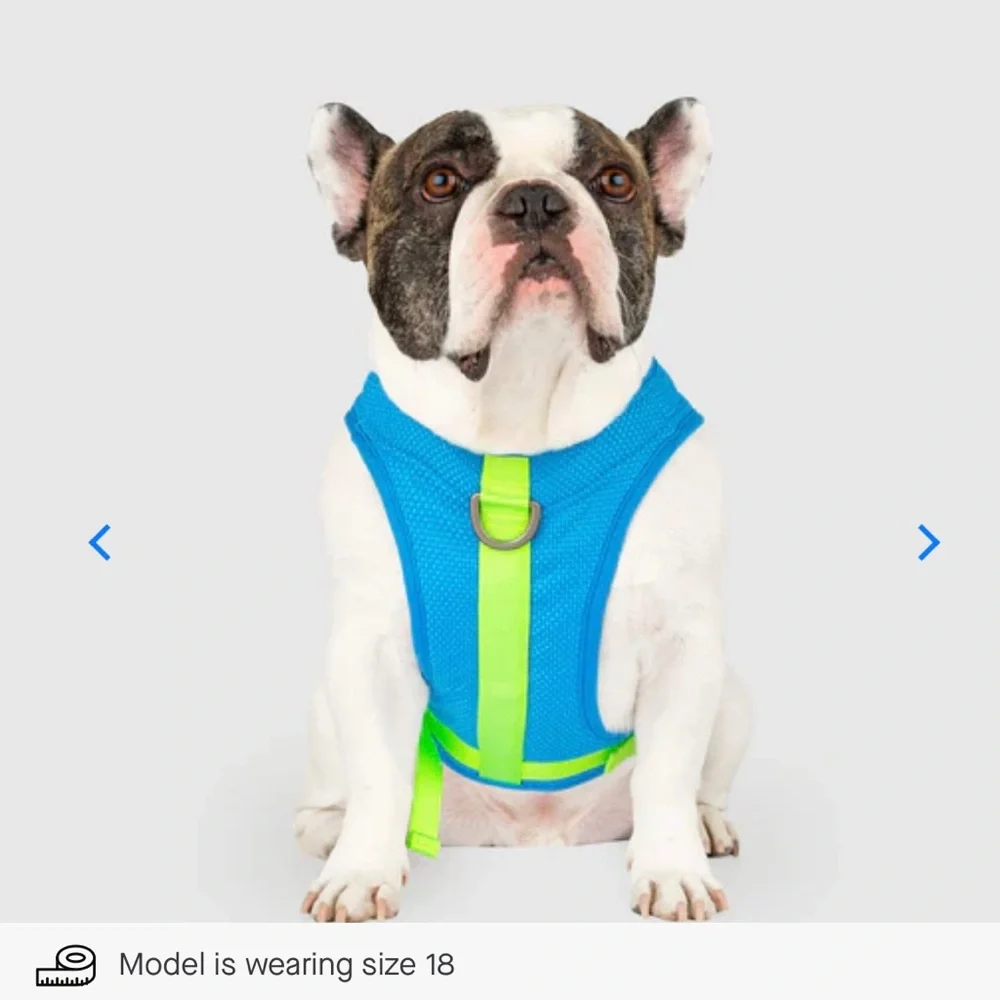 Canada Pooch Chill Seeker Cooling Harness - Blue/Green - Size 12